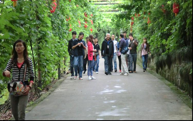 1520927900524299.jpg 65.jpg