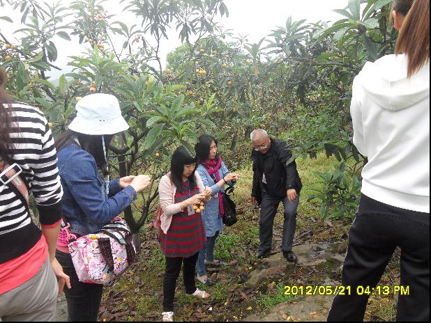 1520927918137766.jpg 67.jpg